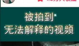 奇闻爆料解说视频大全集,视频大全集带你探索神秘世界