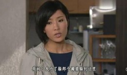 家好月圆粤语在线观看,重温温馨家庭故事，共度团圆佳节